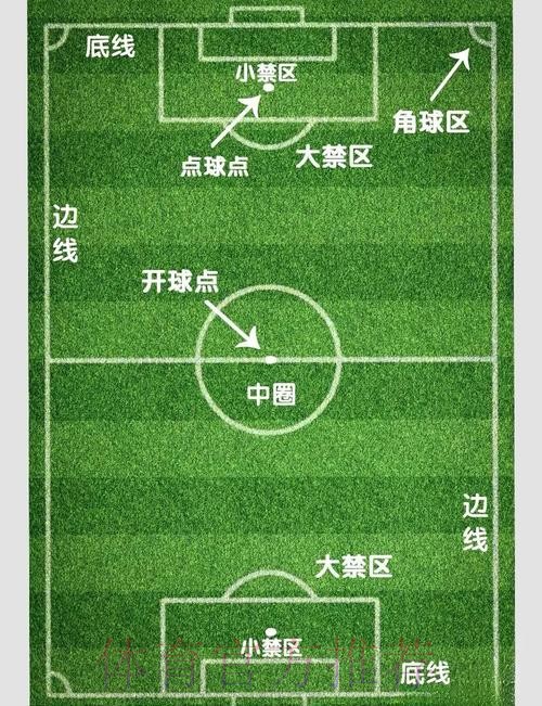 世界杯让球站运作方式全面解读