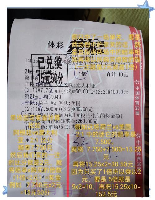 世界杯博彩常见误区解析与避坑经验分享